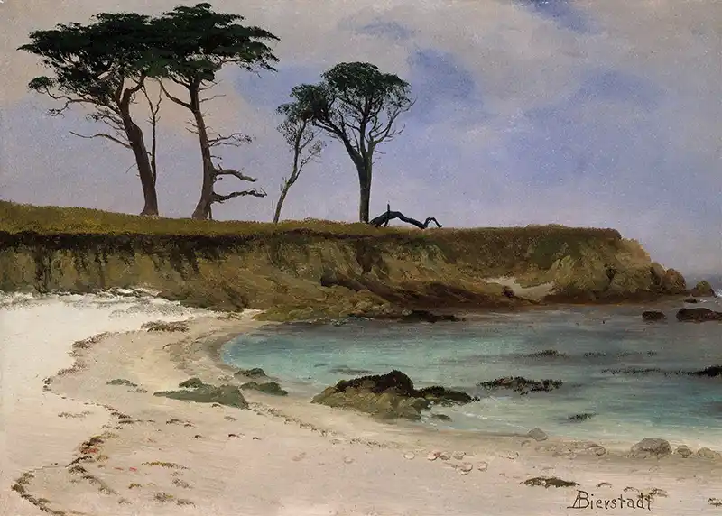 Sea Cove